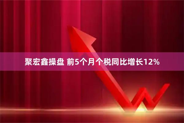 聚宏鑫操盘 前5个月个税同比增长12%